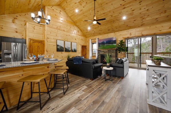 Smart TV, fireplace, video games, books