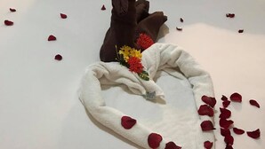 Een bed met rozenblaadjes en een handdoekopstelling in de vorm van een hart.