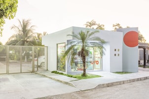 A modern building with a large glass facade, palm trees, and a minimalist design.