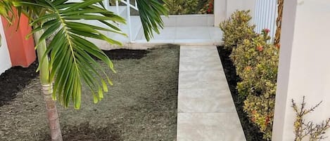 A well-maintained garden with a palm tree, a paved pathway, and a white fence.