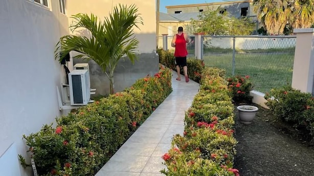 A pathway lined with potted plants and flowers, leading to a building. - The Golden Gate Inn (Basseterre)