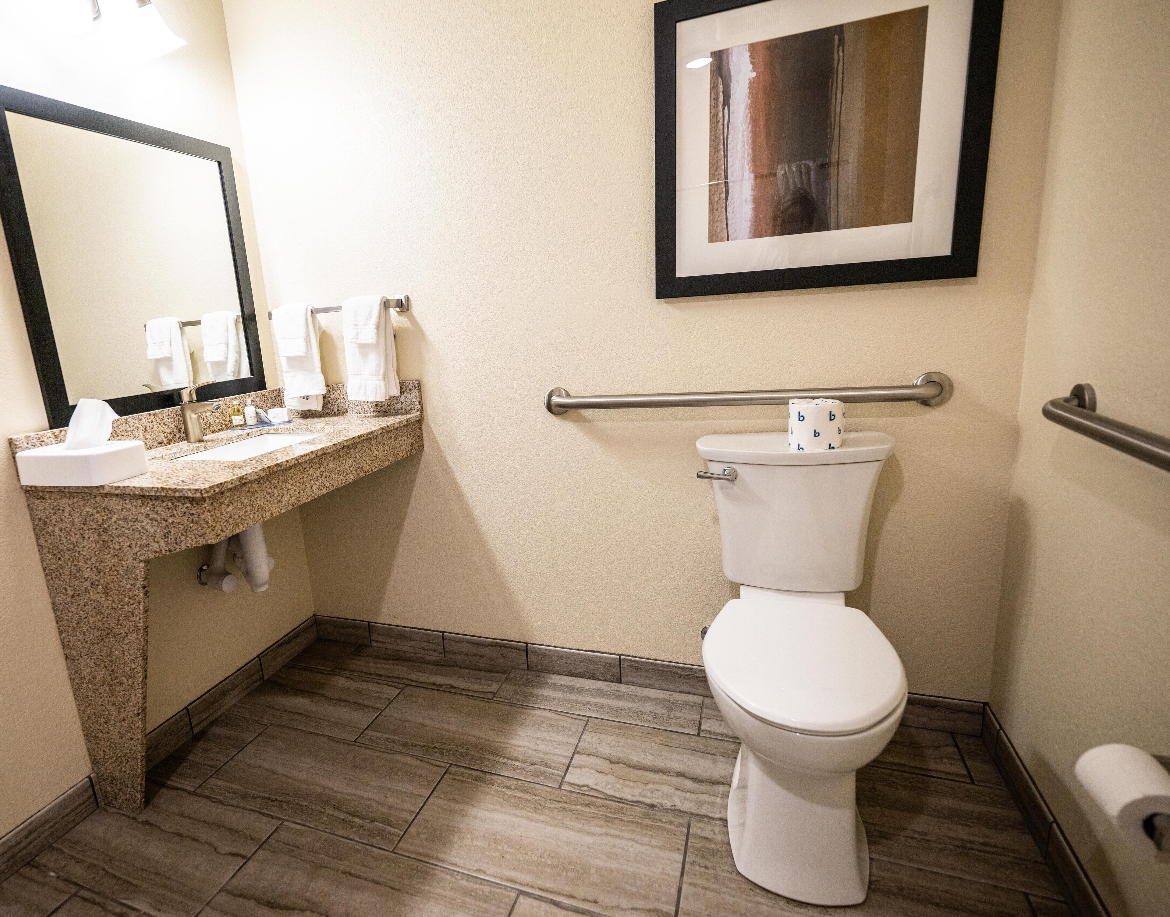 A bathroom with a sink, mirror, toilet, and a framed picture on the wall.