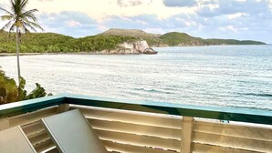 Un balcon avec vue sur la mer, un palmier et une montagne en arrière-plan.