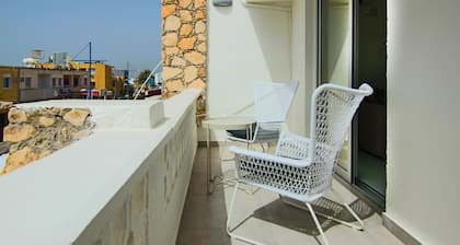 Phaedrus Living City View Fountain Court 113