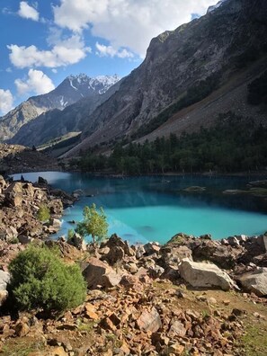 Vista desde la propiedad