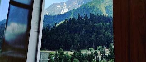 Standard Double Room | Mountain view