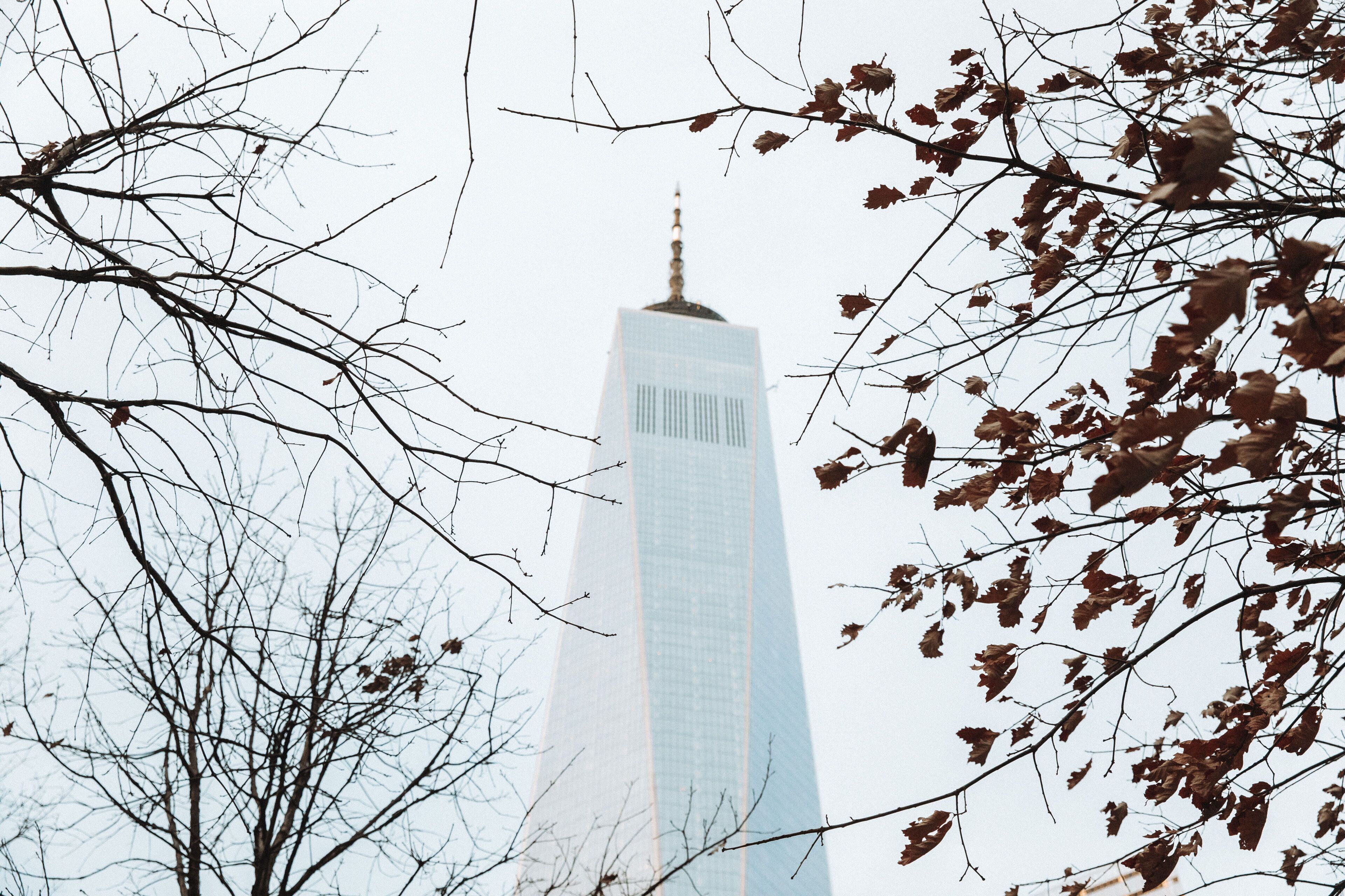 Foto - Grayson Hotel