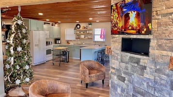 Smart TV, fireplace, books