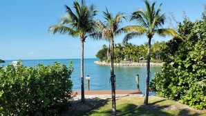 Zona verde con palmeras y vista al océano.