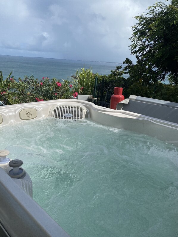 Baignoire à remous extérieure