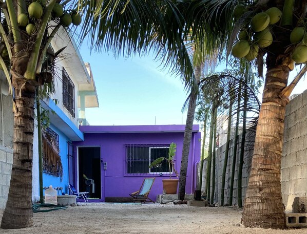 Un bâtiment violet avec une fenêtre et une chaise à l’extérieur.