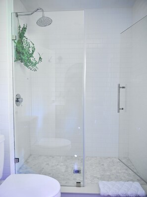 A glass-enclosed shower with a handheld showerhead, a white tiled floor, and a small plant on the left. - Family Style Home 5 minutes from the Gaslight District!  (north dumfries)