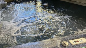 Ein Whirlpool mit digitaler Temperaturanzeige, umgeben von einer Holzterrasse und einem Lattenzaun.