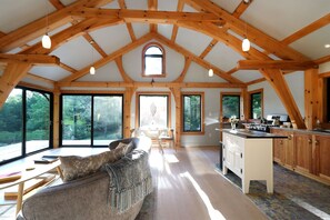 Fireplace, books, music library, stereo