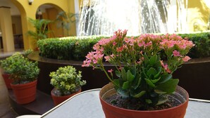 Ein Blumentopf mit rosa Blüten im Freien, mit einem Brunnen und gelben Wänden.