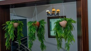 Uma escada com corrimão de madeira e guarda-corpo de metal, ladeada por três vasos suspensos com folhagem verde e um aparelho de luz fixado na parede.
