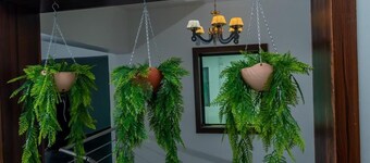 Whitevill Hospitality and homes