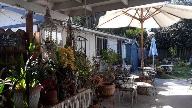 Un patio al aire libre con plantas en macetas, una mesa con sillas y un cobertizo azul al fondo.