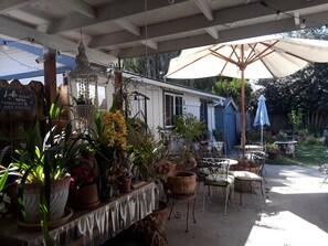 Un patio al aire libre con plantas en macetas, una mesa con sillas y un cobertizo azul al fondo.