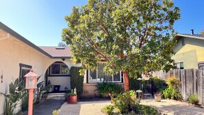 A residential backyard with a large tree, a gravel pathway, and various potted plants. - Serene Sonoma Home, Walk/bike downtown in minutes (Sonoma)