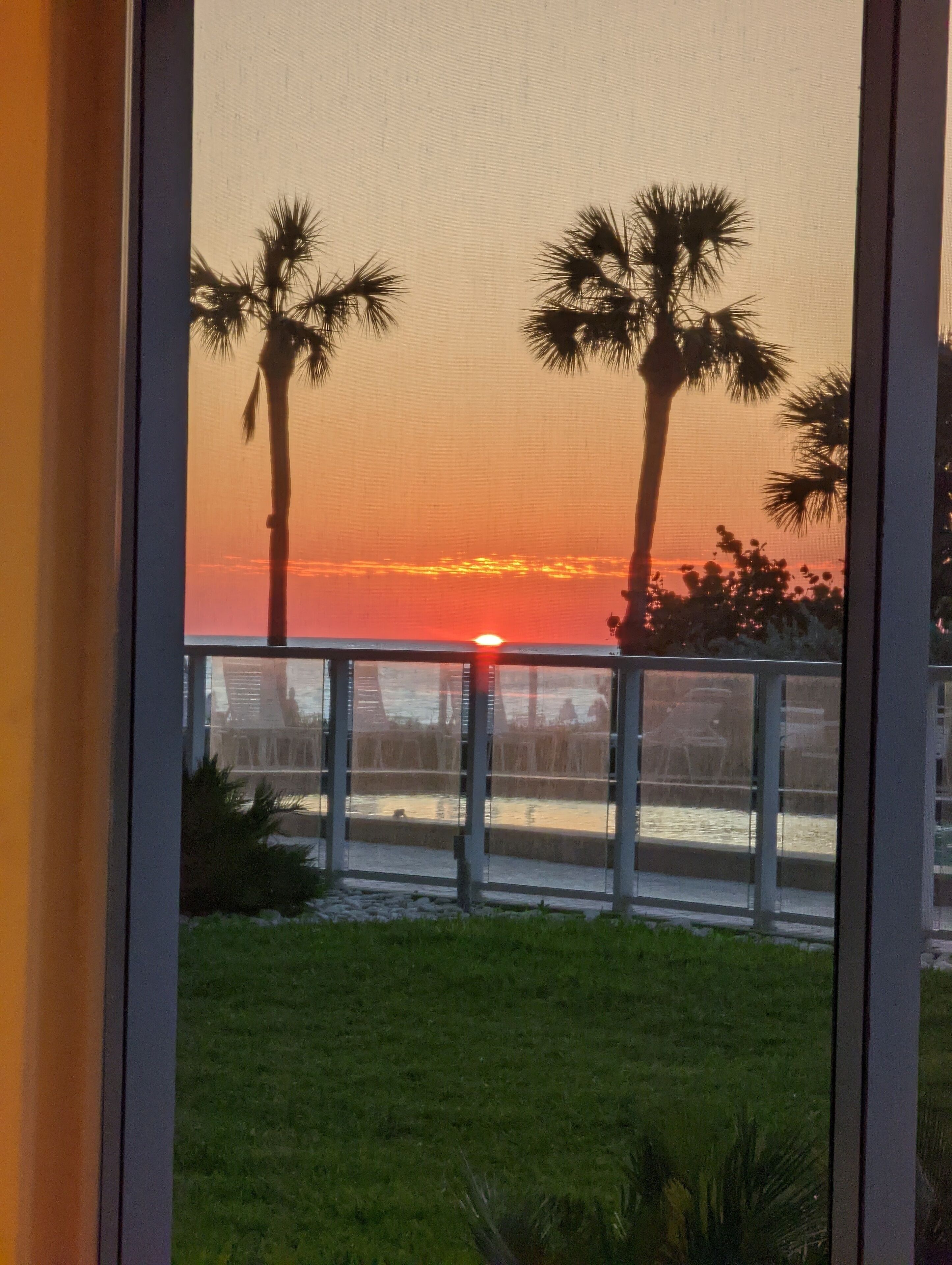 A sunset view through a window with two palm trees and a railing.