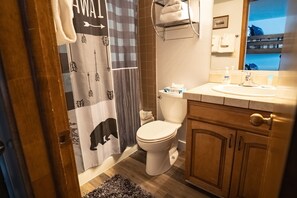 Ensemble baignoire-douche, séchoir à cheveux, serviettes fournies