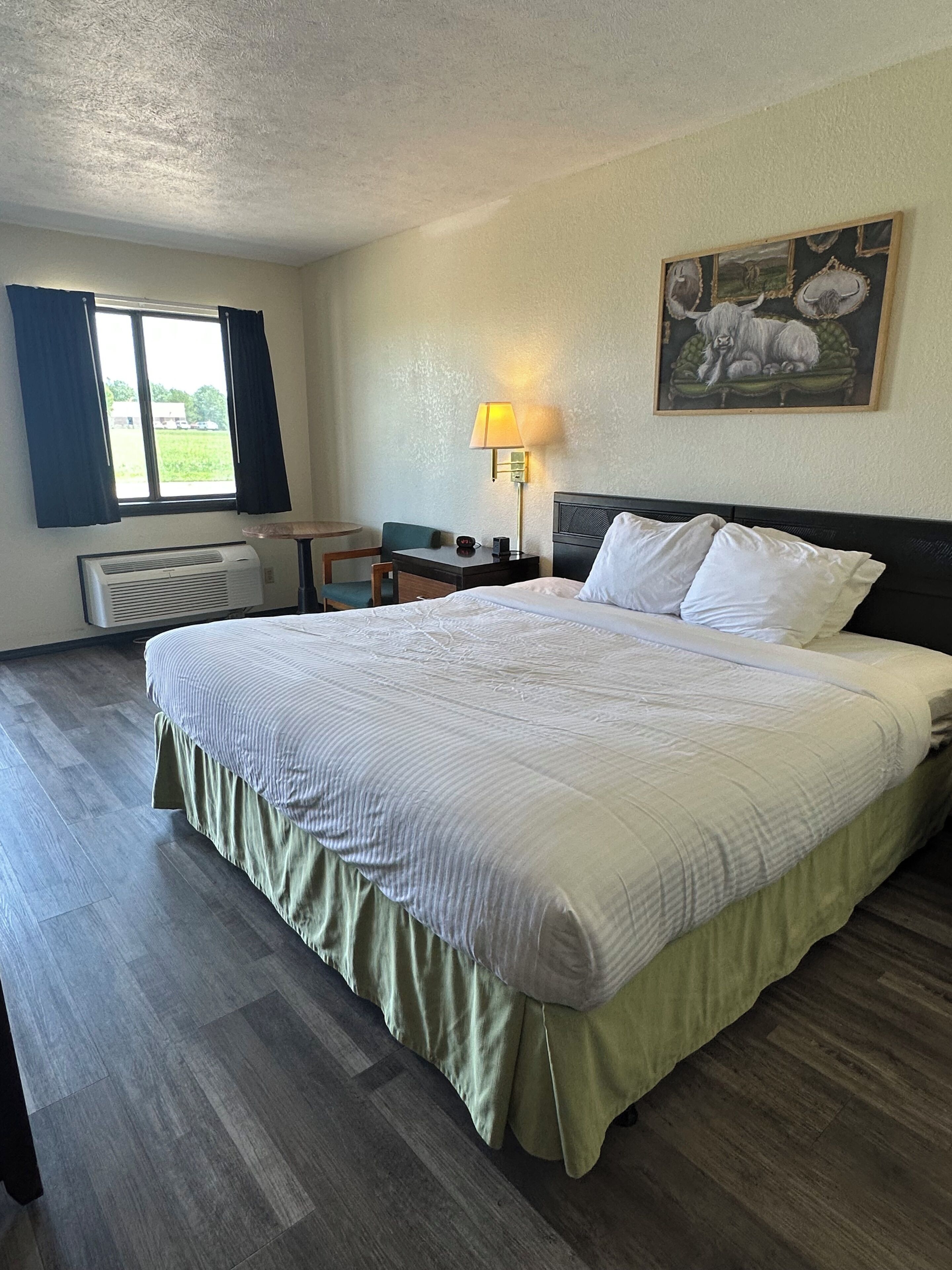 Habitación de hotel con una cama grande, un escritorio, una silla, una lámpara y un cuadro en la pared.
