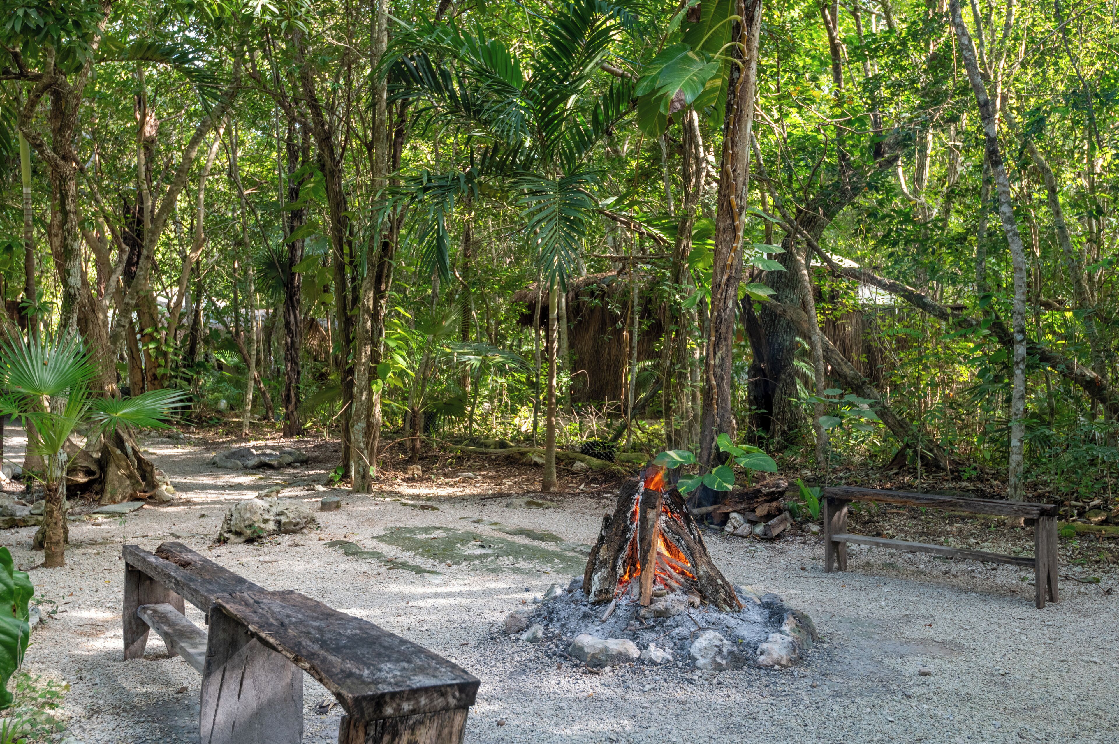 A forested area with a fire pit and benches.