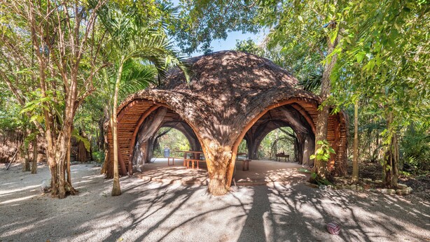 A gazebo structure with a thatched roof surrounded by trees.