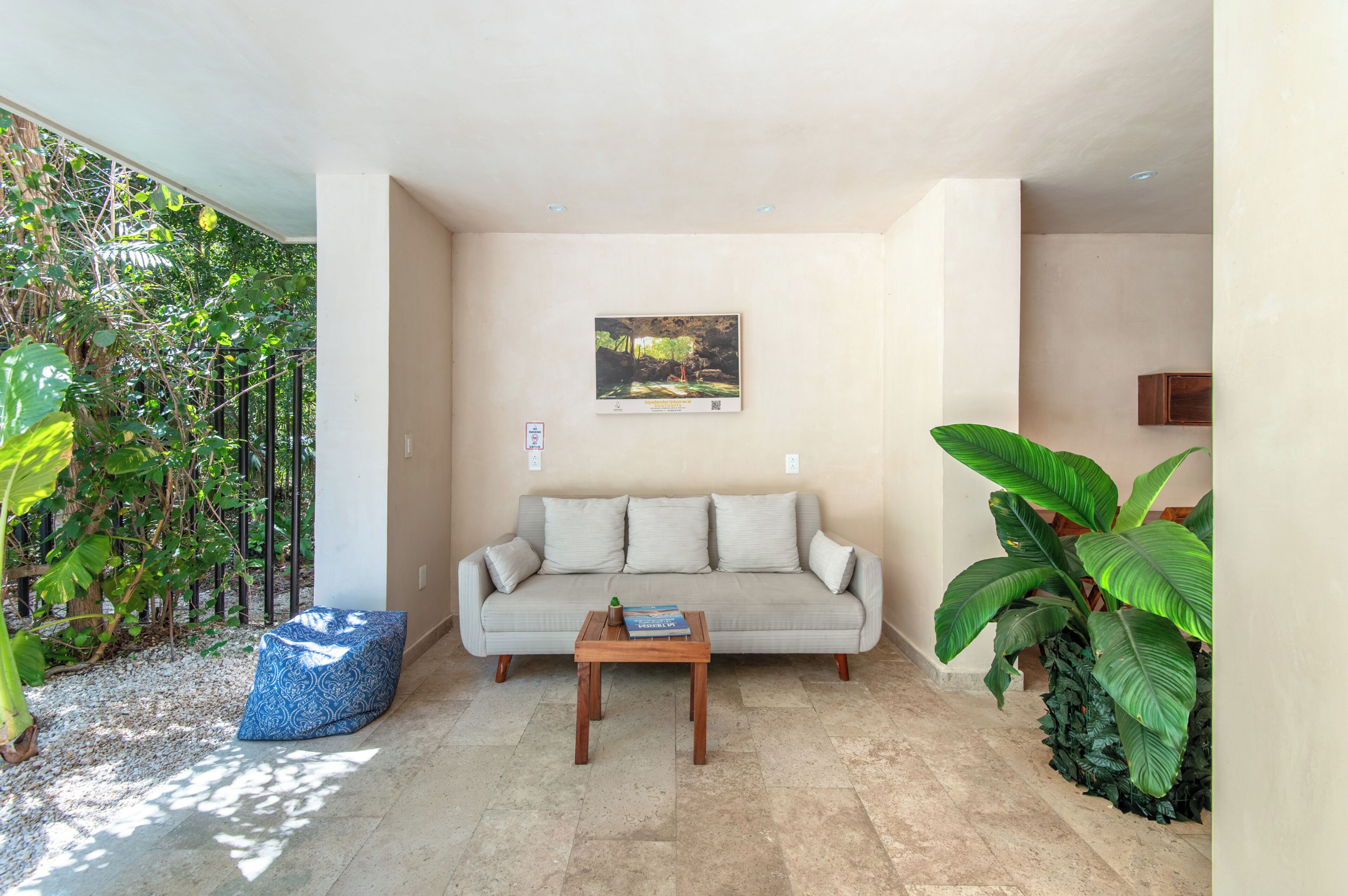 Una habitación con sofá, mesa de centro, un cuadro en la pared y una planta grande.