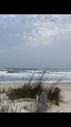 Enjoy a serene beach experience with access to the ocean and a pet-friendly atmosphere.