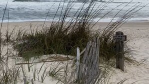 A beach with a sign that reads "PICK UP YOUR PETS." - Salty Lime, Pet Friendly! Beach House!  Sleeps 8 Steps from the beach! (Gulf Shores)