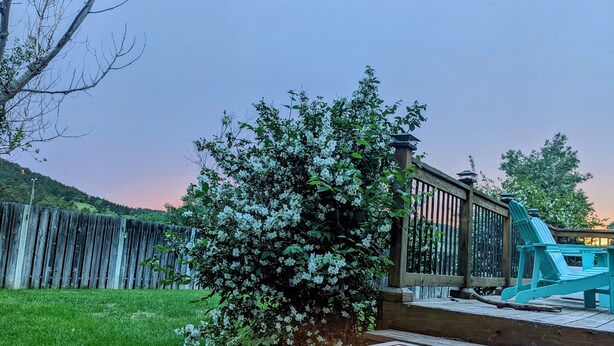 A deck with a fire pit, a wooden fence, and a bush with white flowers. - Sturgis Rally rental; great location; next to I-90 and Harley Davidson (Rapid City)