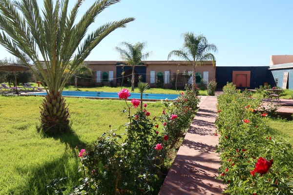 le jardin plein de palmiers et oliviers , aussi comme coin repas