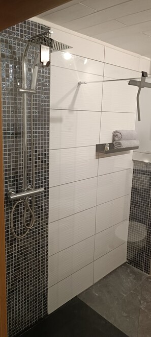 Shower, hair dryer, towels, soap