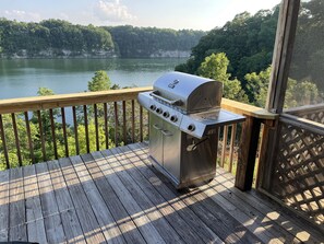Property grounds - Awesome Lake Front Property (Nancy)