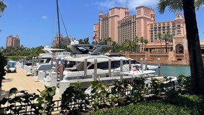 Een jachthaven met aangemeerde jachten, een groot hotelgebouw met meerdere torens, en palmbomen op de voorgrond.