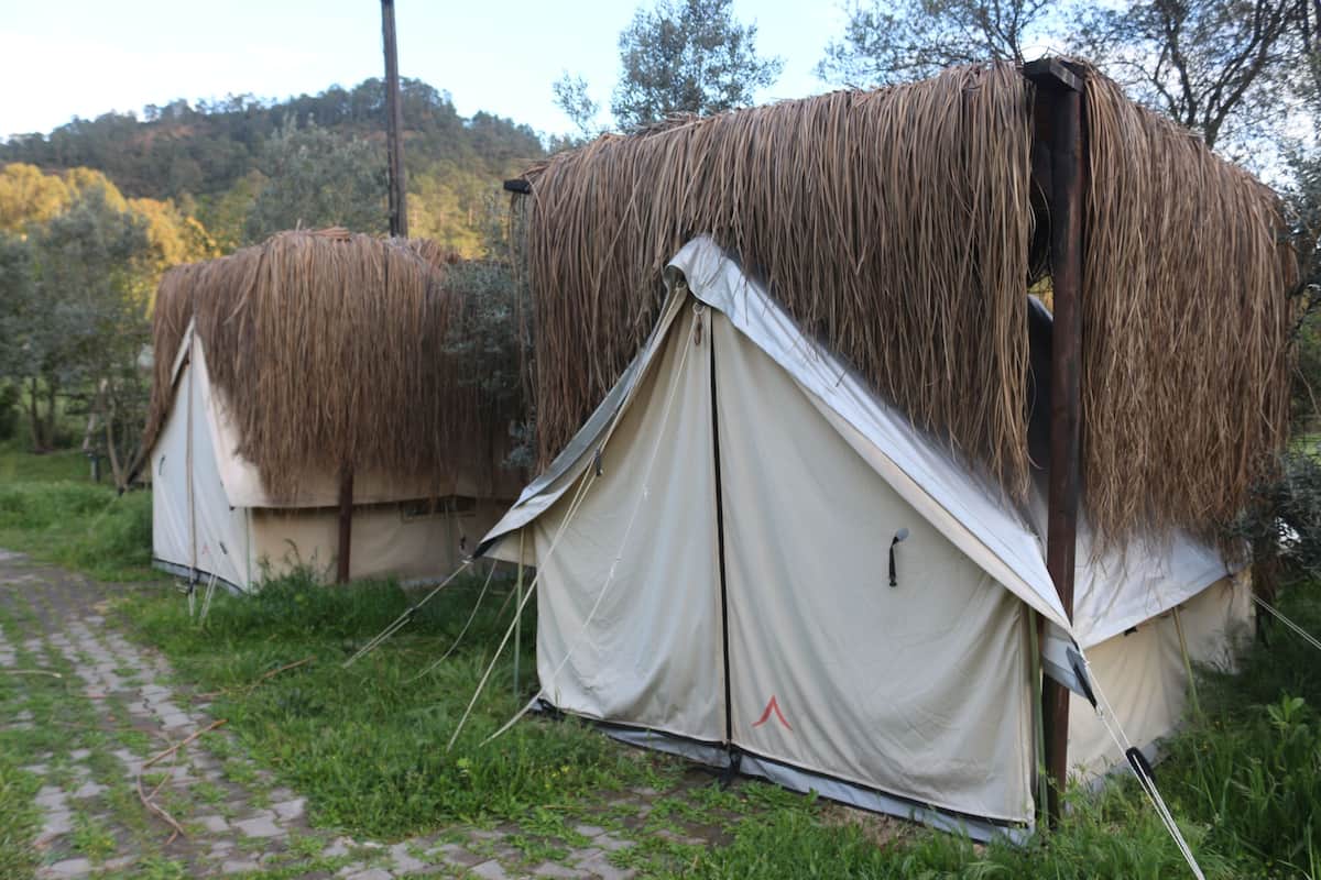 Family Tent | Premium bedding, desk, laptop workspace, rollaway beds