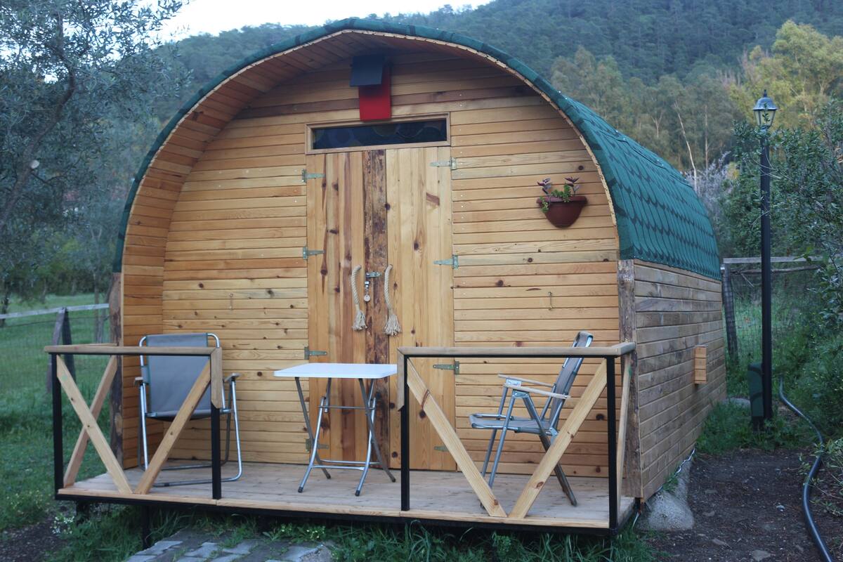 Comfort Cabin | Front of property