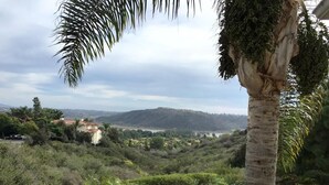 Un paisaje exuberante con una palmera, una zona cubierta de césped y una vista distante de colinas y una masa de agua.