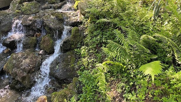 A natural waterfall in a forested area with a wooden viewing platform. - Welcome to Let's Flamingle, located directly on Blue Cove just off of Rainbow River (Dunnellon)