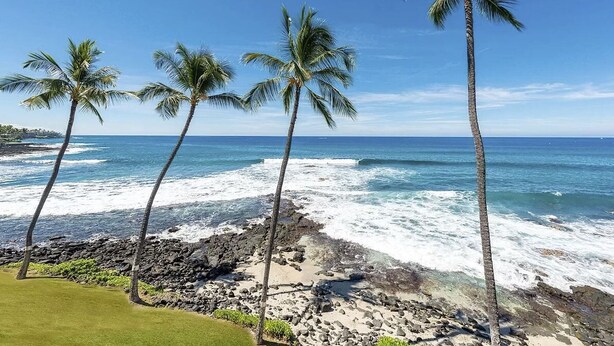 A beach with palm trees and ocean waves. - Private Oceanfront Top Floor Condo - Kona Reef D34 (Kailua-Kona)
