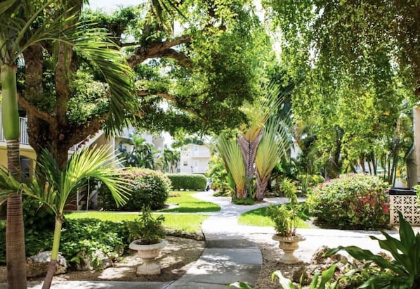 A lush garden with a variety of plants and trees, a stone pathway, and a building in the background.