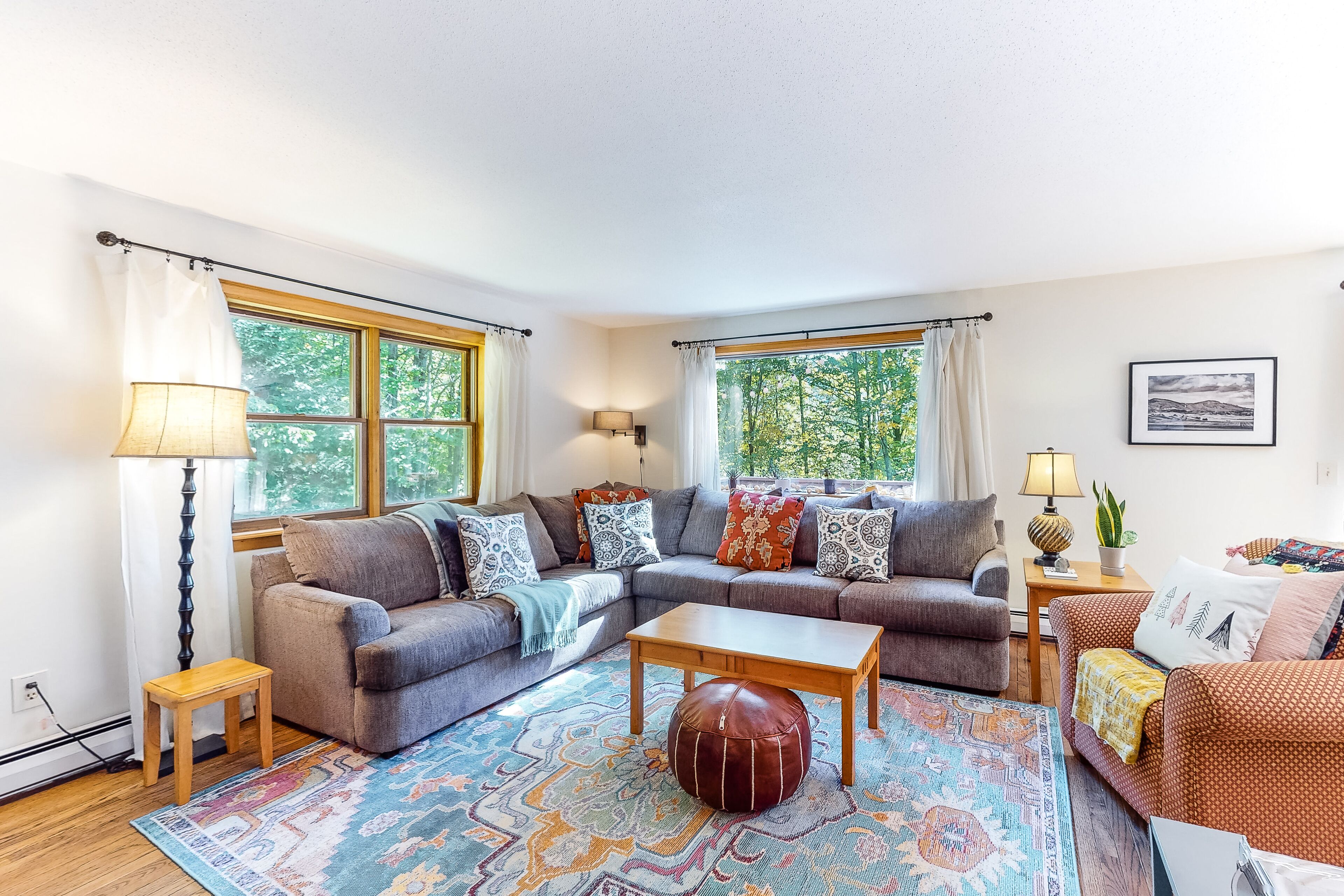 Télévision, cheminée, lecteur de DVD, livres