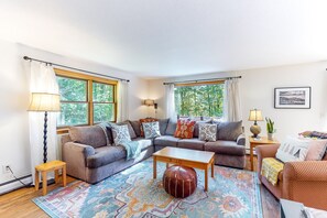 TV, fireplace, DVD player, books