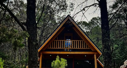 Cabaña Alpina en la sierra de Arteaga