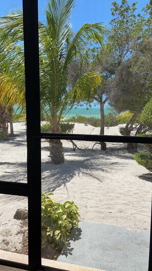 Property grounds - Beautiful beachfront loft in Celestun (Celestún)