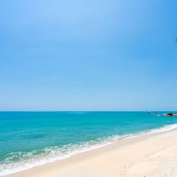 Vue sur la plage/l’océan