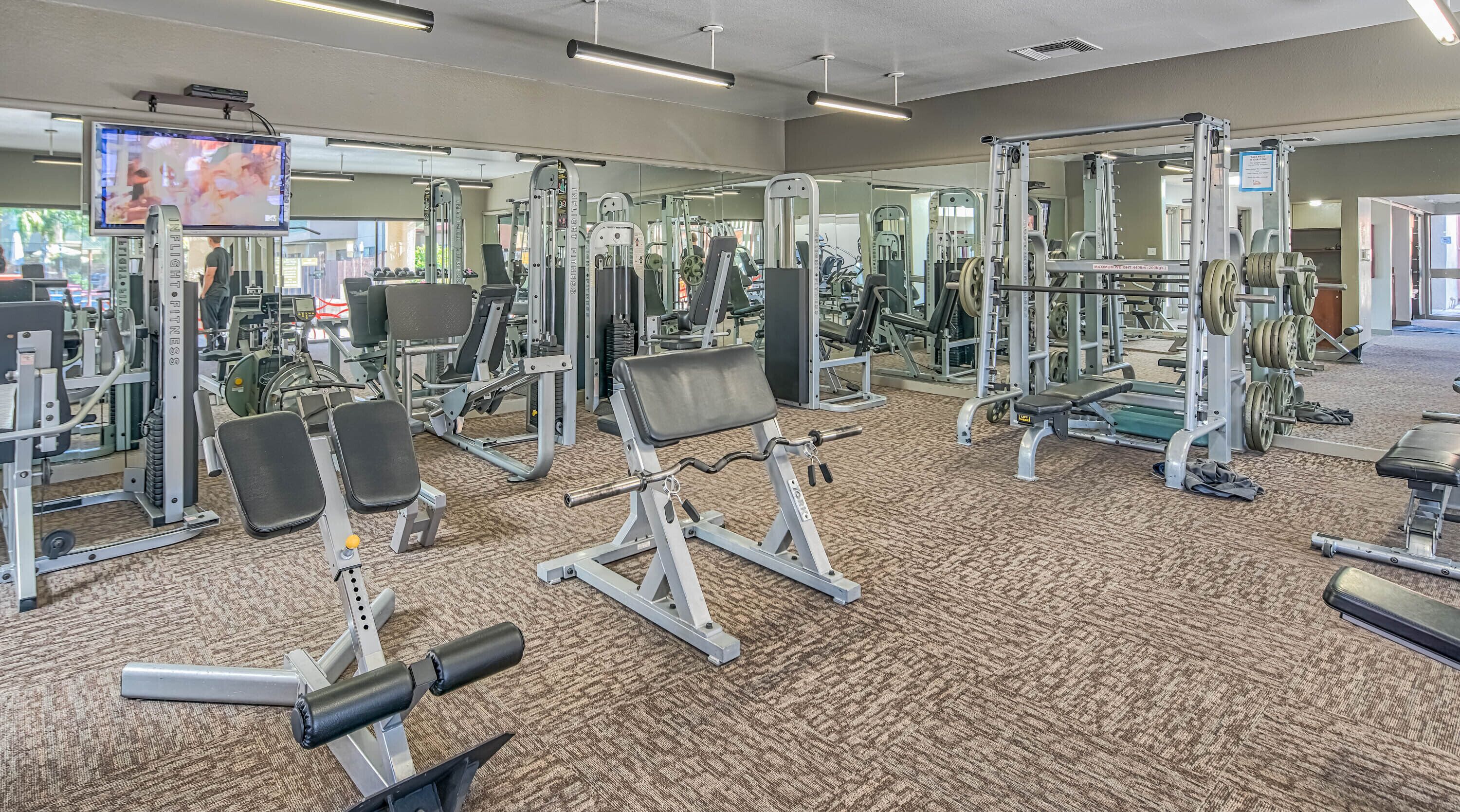 A gym with various exercise equipment, a television screen, and a carpeted floor.