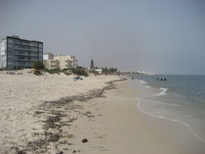 Ein Strand mit sandigem Ufer, etwas Seegras und Gebäuden im Hintergrund.